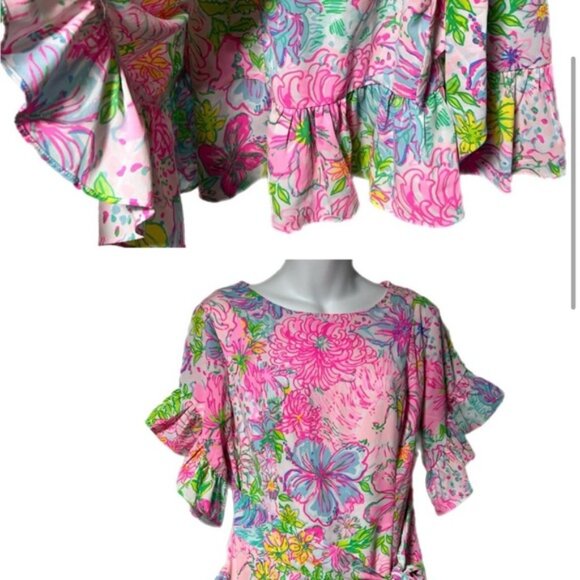 Lilly Pulitzer dress - Picture 13 of 13